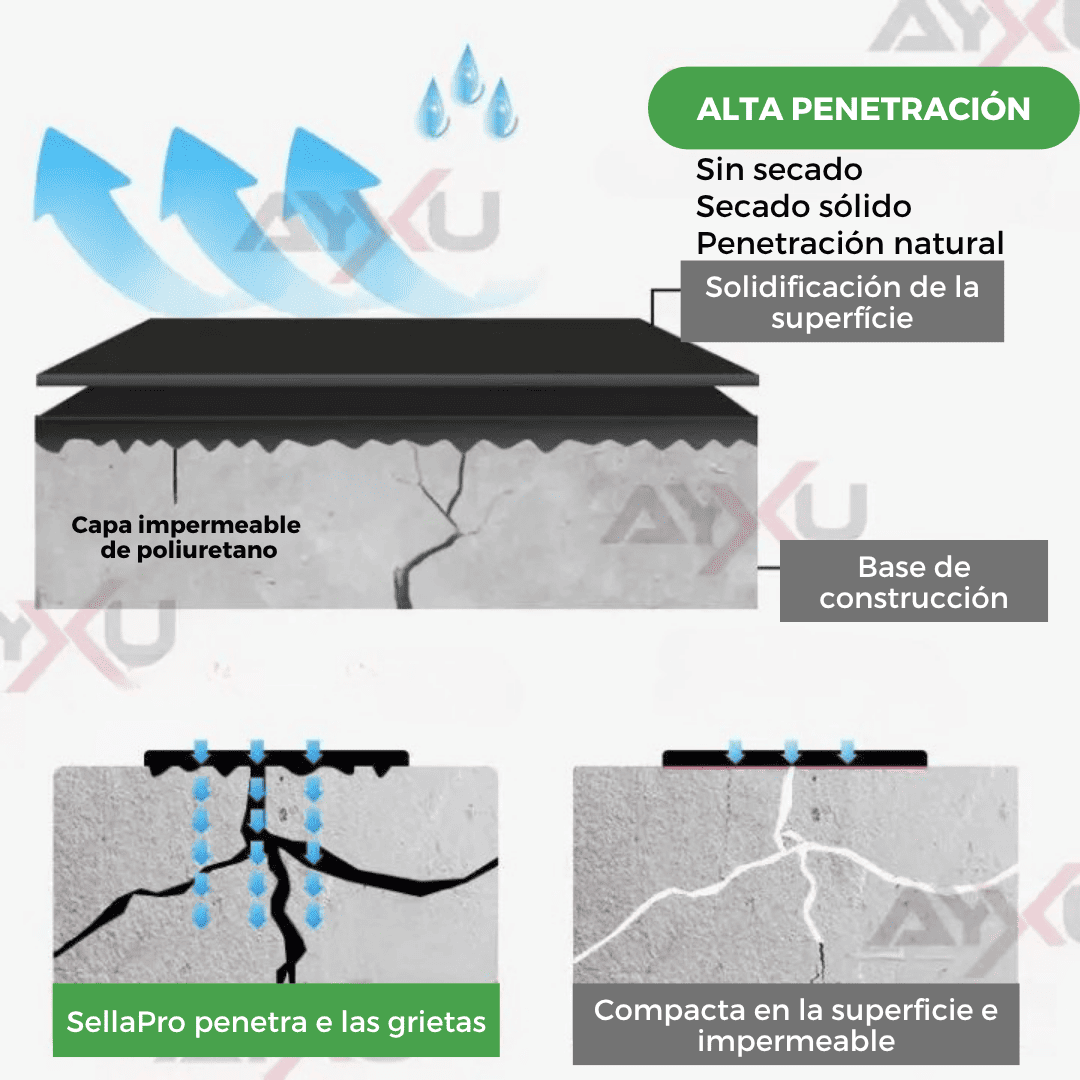 Spray Sellador De Grietas Transparente - SellaPro