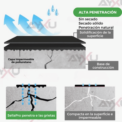 Spray Sellador De Grietas Transparente - SellaPro