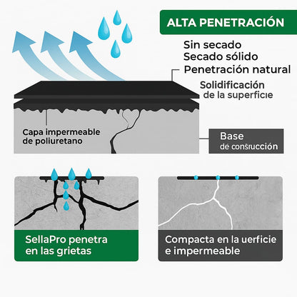 Spray Sellador De Grietas Transparente - SellaPro
